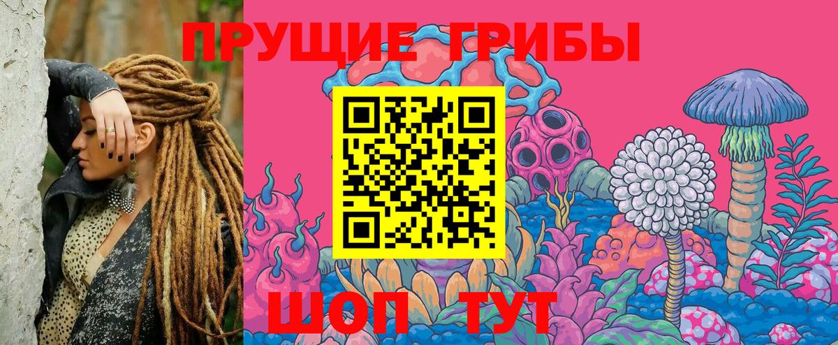 Галлюциногенные грибы мицелий Зерноград
