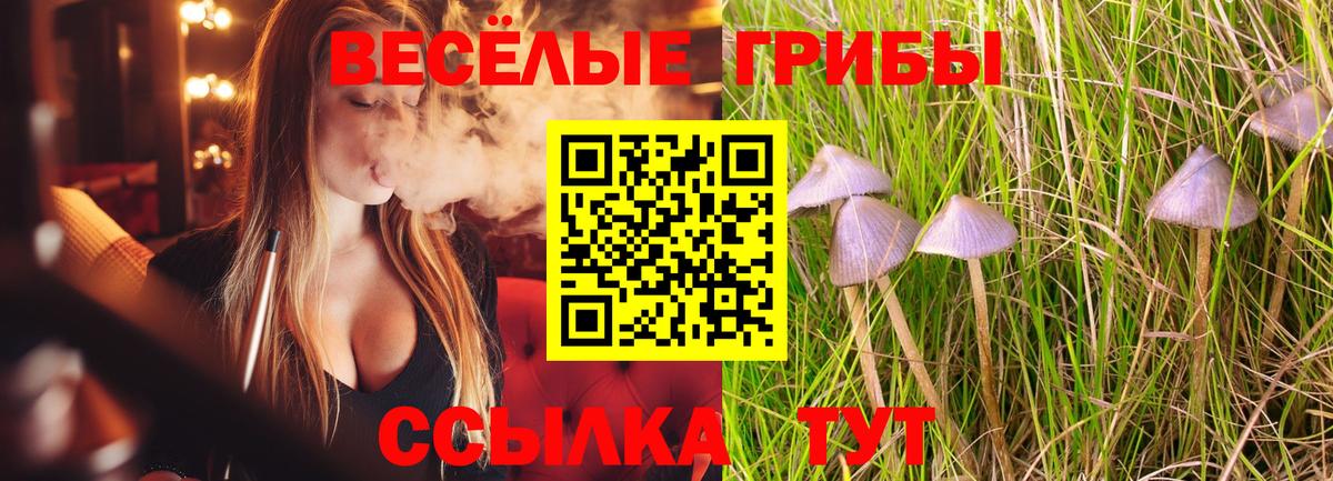 Галлюциногенные грибы прущие грибы  Псилоцибиновые грибы Magic Shrooms  Вход с VPN  Зерноград 
